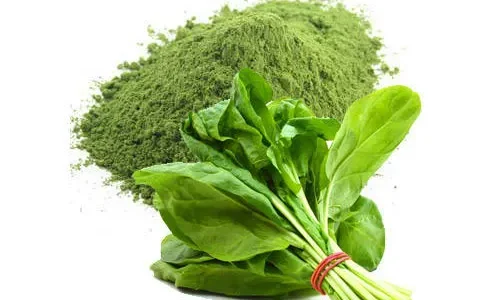 dry-spinach-leaves-powder-green--500x500